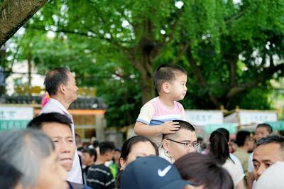 龙舟竞渡千年韵 世运相约蓉城情——2025四川省“百舟竞渡迎端午”集中展演暨新津天府端午龙舟会文化活动策划